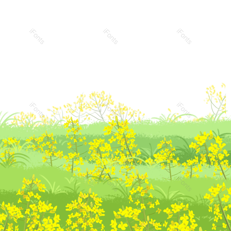 插画图片,素材元素,花朵PNG,鲜花免抠素材
